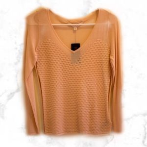 Delicate Pink Long Sleeve with Scallop Detailing